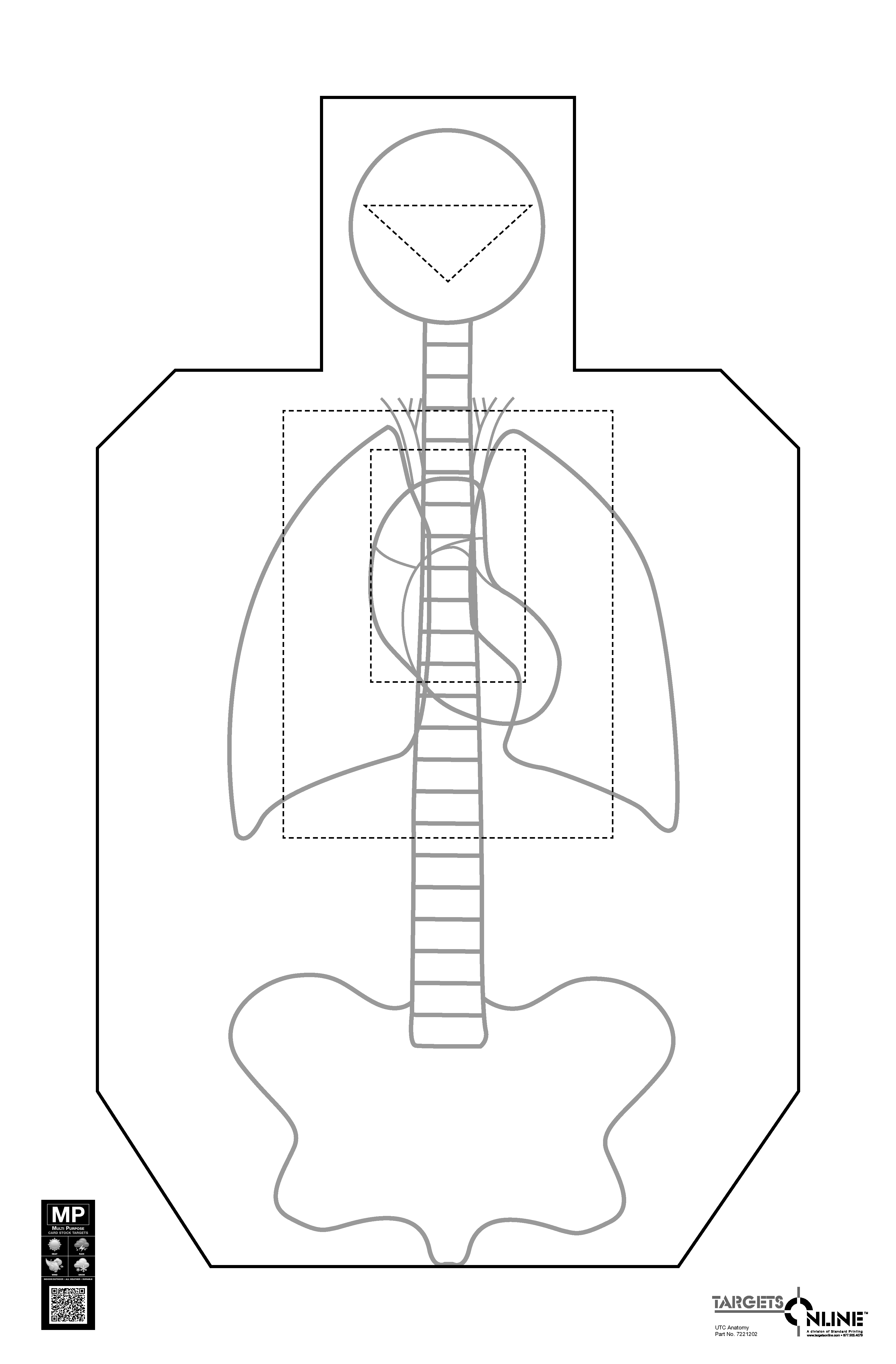 UTC Anatomy - Paper UTC Anatomy - Paper